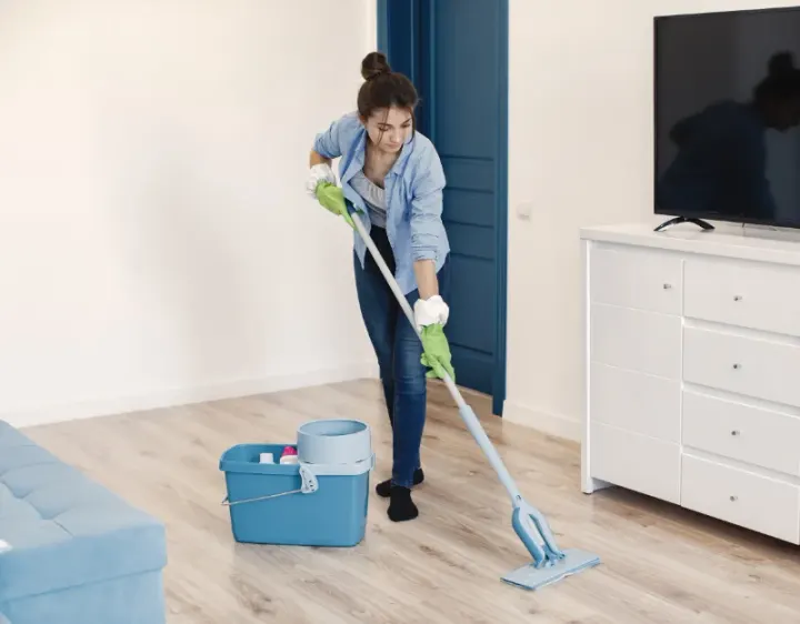 Femme de ménage Estancarbon